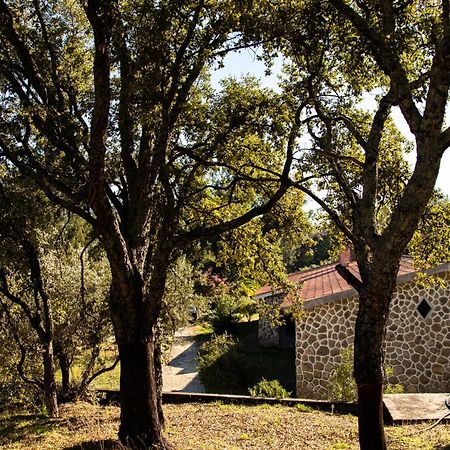 Bed and Breakfast Quinta Dos Sincais à Guarda Extérieur photo