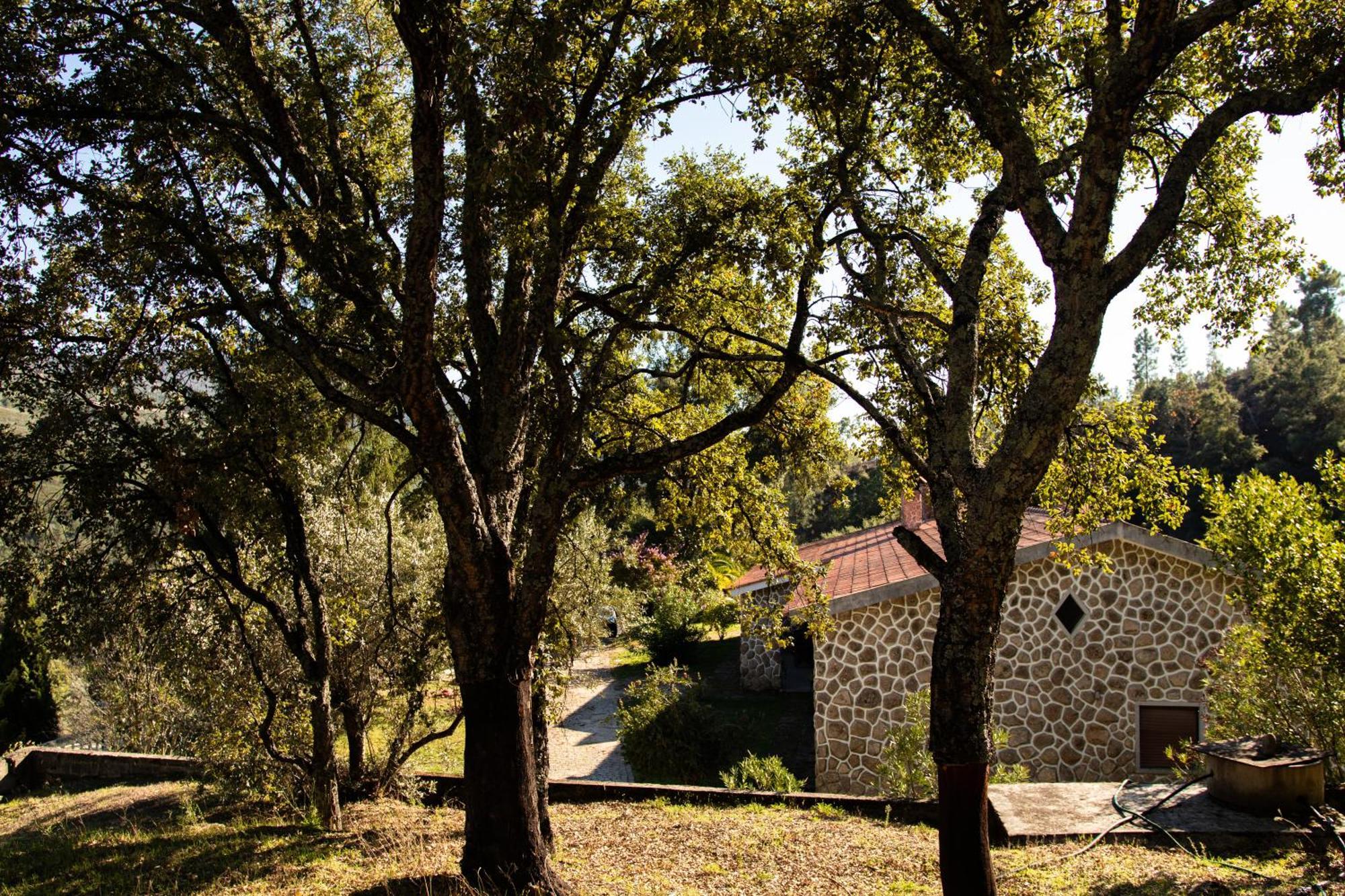 Bed and Breakfast Quinta Dos Sincais à Guarda Extérieur photo
