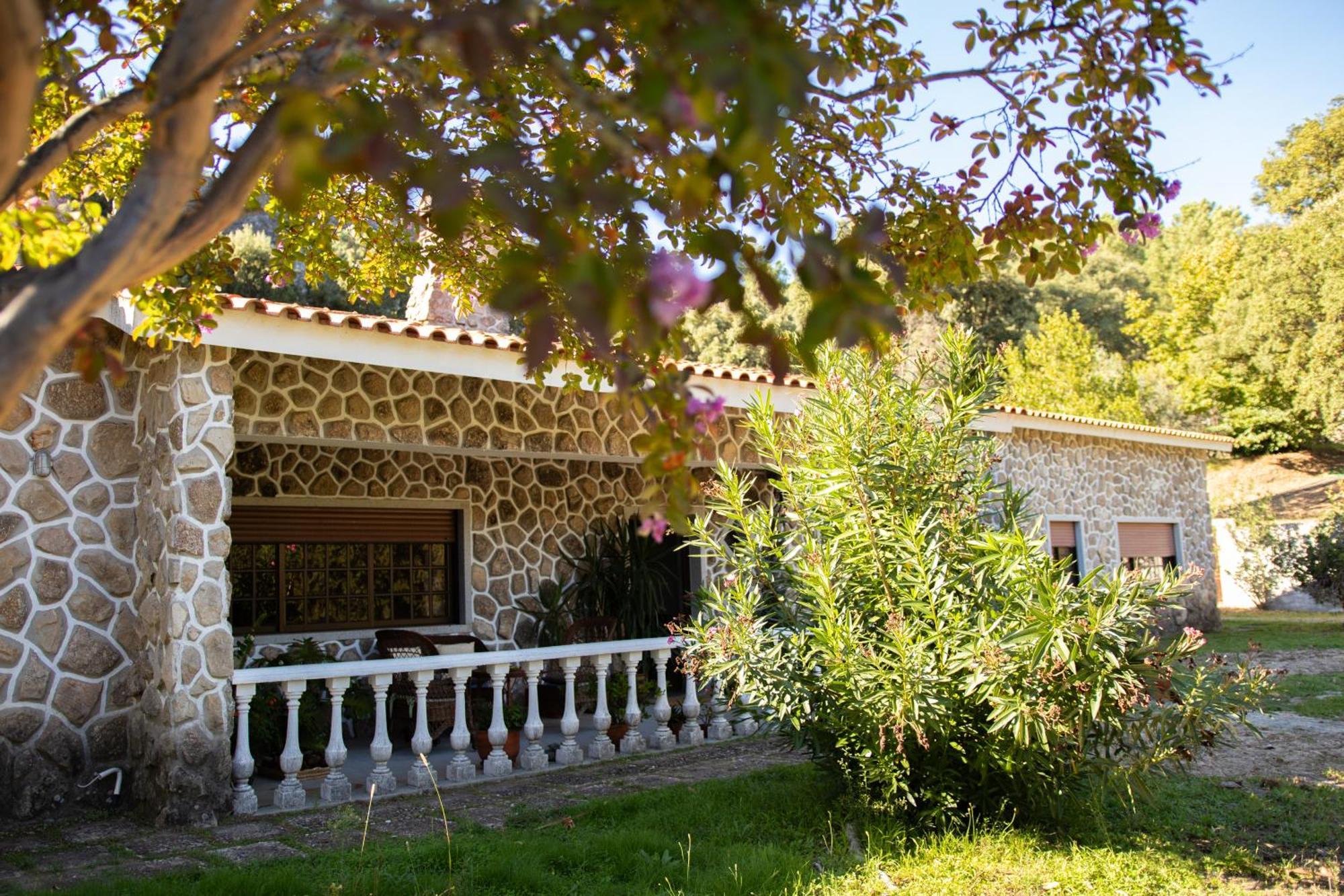 Bed and Breakfast Quinta Dos Sincais à Guarda Extérieur photo